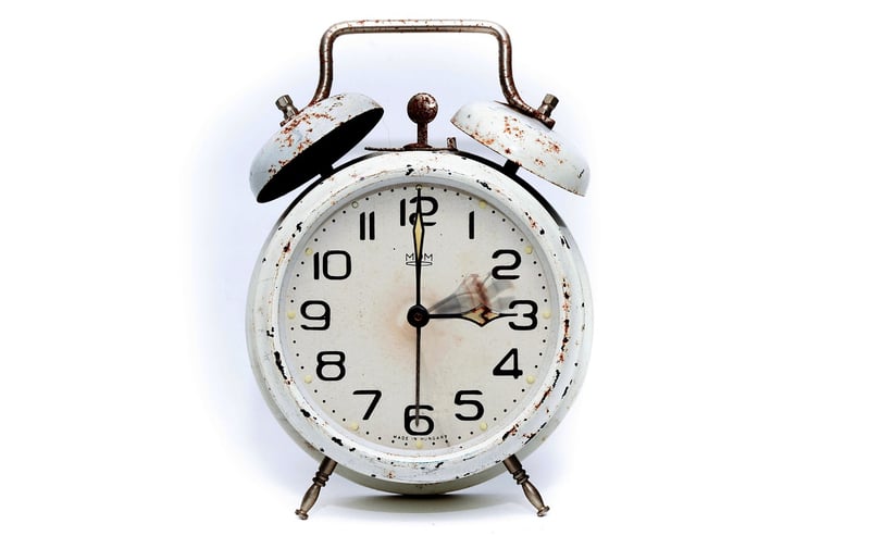 Time-Loop Survival Kit